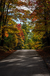 西弗吉尼亚州州公园路蓝天绿色隧道风景落叶颜色树木国家山路图片