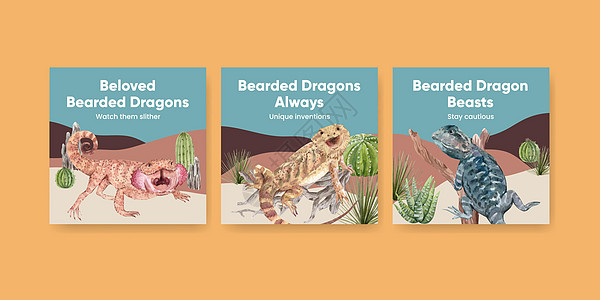 带有胡子龙动物概念的横幅模板 水彩风格壁虎橙子蜥蜴玻璃荒野爬行动物异国动物群广告胡子图片