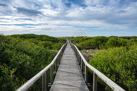 通向海滩的木林道远足支撑晴天假期自然景观海岸沙丘旅游海洋植被图片