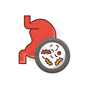 肠胃身体医疗发酵治疗细菌微生物念珠菌疾病溃疡生物学图片