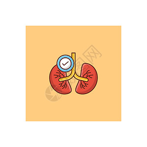 肺器官药品生物学医疗诊所插图支气管疾病身体呼吸背景图片