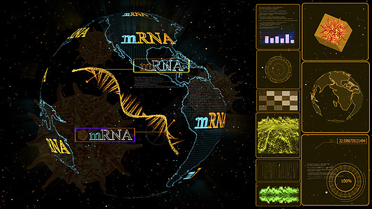 全球数字计算机黄色监测器的 mRNA疫苗模型图片