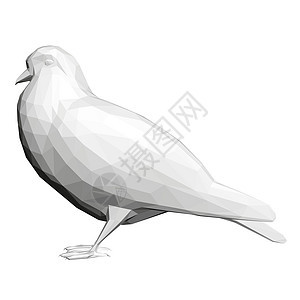 在白色背景隔绝的灰色低聚鸽子  3D 它制作图案矢量宣言动物动物群爱情夹子环境航班羽毛艺术插图图片