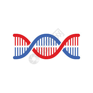 DNA 图标向量 现代简单的平面 dna 符号被隔离 商业互联网概念 网站 designweb 的时尚矢量生物学基因符号 标志染图片