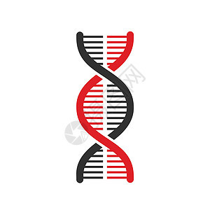 DNA 图标向量 现代简单的平面 dna 符号被隔离 商业互联网概念 网站 designweb 的时尚矢量生物学基因符号 标志染图片