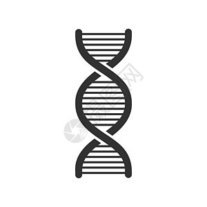 DNA 图标向量 现代简单的平面 dna 符号被隔离 商业互联网概念 网站 designweb 的时尚矢量生物学基因符号 标志染图片