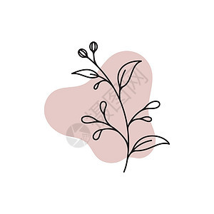美容花店矢量图标设计生物品牌圆圈郁金香花园标签婚礼奢华玫瑰标识图片