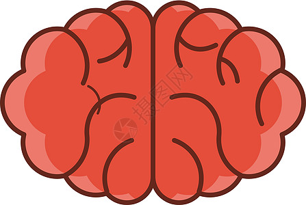 心脑思考风暴智力器官知识教育插图加载医疗科学图片