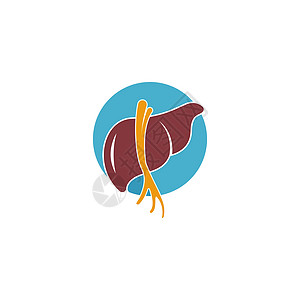 人类肝脏图标标志设计模板社区外科手术艺术科学诊所药品器官身体标识图片