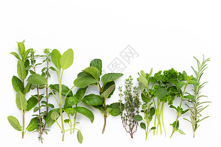 白色背景的草药香料 顶级风景绿色草本叶子食物百里香植物烹饪迷迭香草本植物芳香图片