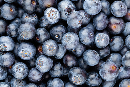 新鲜蓝莓背景 质地蓝莓果合起来营养覆盆子蓝色饮食市场浆果食物采摘收成水果图片