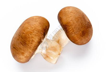 白色的新鲜香肠蘑菇被隔离在白色上棕色营养食物菌类图片