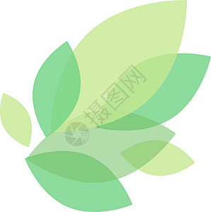 叶小册子元素设计 植物形状 天然产品的现代标签 绿色药草 矢量图 海报装饰的可编辑形状 创意和可定制的符号图片