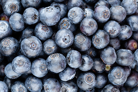 新鲜蓝莓背景 质地蓝莓果合起来市场采摘水果蓝色营养收成覆盆子饮食食物浆果图片