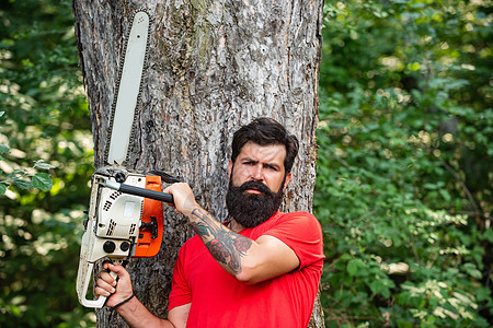 专业伐木工人在森林里拿着电锯 在夏季森林里用斧头或电锯伐木的人 农业和林业主题 木材的收获图片