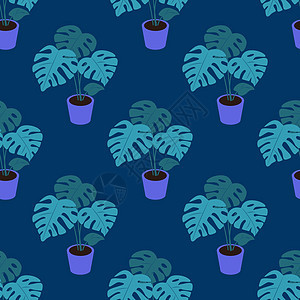 深蓝色背景中盆栽的龟背竹植物 矢量无缝模式图片