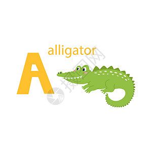 可爱的鳄鱼卡 与动物的字母表 色彩缤纷的设计 用于教孩子们字母表学习英语 白色背景上平面样式的矢量插图图片