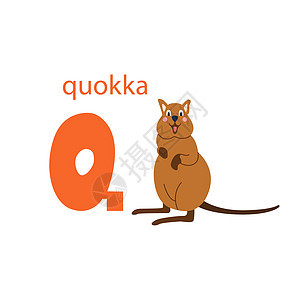 可爱的 quokka 卡 与动物的字母表 色彩缤纷的设计 用于教孩子们字母表学习英语 白色背景上平面卡通风格的矢量插图图片