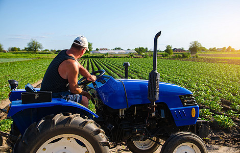 农民开着拖拉机在地里干活 农业工业和农业综合企业 农业机械 作物护理 土壤质量改善 犁地和松土 田间作业栽培 农业景观图片
