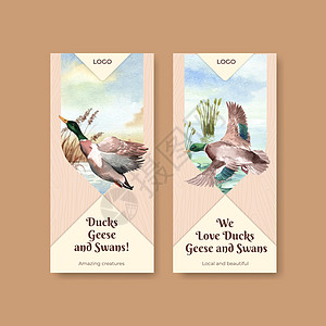 带有鸭子和天鹅概念的传单模板 水彩风格插图小册子婚姻手绘营销动物水禽生活游泳脖子图片