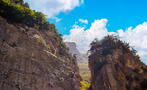 晴朗天气下的山峡谷美景 夏季山区自然背景与绿色植被图片