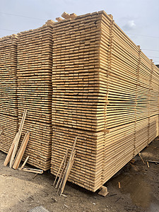 特写在蓝天背景的木板 建筑工地上的工业天然木材建筑材料硬木木制品贮存控制板库存林业工厂生产木头材料图片