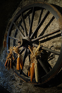 旧木马车轮 装饰玉米     意大利Lombardy小村庄Breno的老磨坊图片