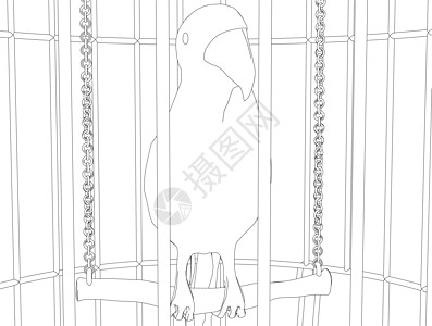 一只鹦鹉在白色背景上孤立的黑线笼子里的轮廓 它制作图案矢量图片