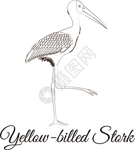 黄嘴鹳卡通鸟型着色图片