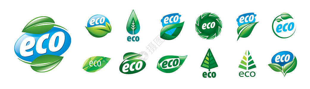 一组在白色背景上的矢量生态图标品牌商业生活产品标签植物身份公司生物学插图图片