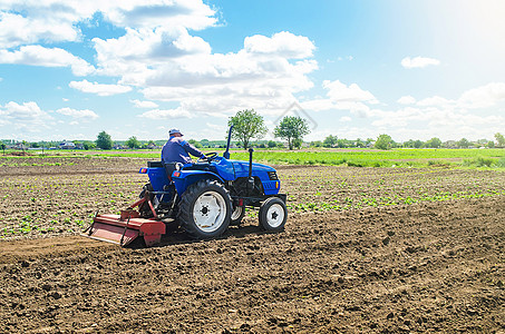 拖拉机上的农民用铣床设备碾磨土壤 研磨松散的土壤 去除上次收获的植物和根 种植蔬菜 地面破碎和混合图片