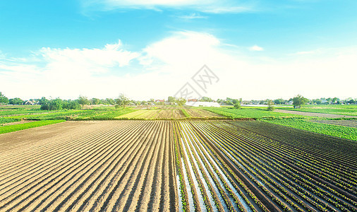 农田种植着农业植物 种植和生产粮食 农村农村 给庄稼浇水 农业工业 农业综合企业 农业 欧洲农田 传统灌溉系统图片