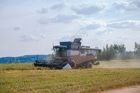 收割者从耕种的农业田里收获小麦 单位 千分之一灰尘场地播种田园种子技术农业机械生长植物食物图片
