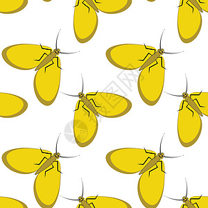 方形背景上的插图程式化的飞蛾图形 夏日昆虫难忍的安逸生活盖子笔记本包装正方形网站图片