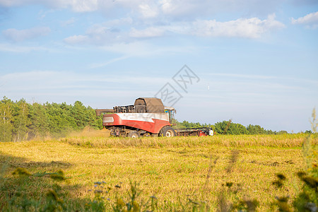 田间收割的旧式联合收获作物拖拉机轮子谷物农场收成植物农业场地男人金子图片