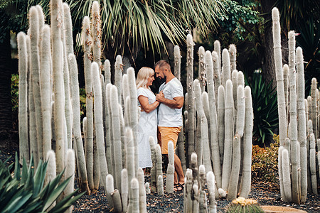 爱的一对情侣在特纳里夫岛巨大仙人掌的背景下拥抱着 在加那利群岛 人们相爱运动尖刺植物群假期流浪牛仔裤植物女孩游客明信片图片