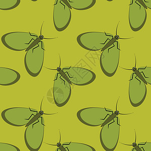 方形背景上的插图程式化的飞蛾图形 夏日昆虫难忍的安逸生活盖子网站笔记本包装正方形纺织品图片