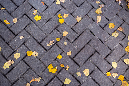 黄色的落叶躺在公园小路上的瓷砖上 顶视图图片