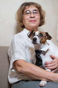 一位年老的天主教女人 拿着一只聪明狗 杰克罗素泰瑞戴眼镜领带朋友女士祖母贵妇人拥抱眼镜风镜奶奶长椅友谊图片