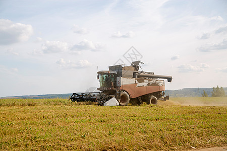 收割者从耕种的农业田里收获小麦 单位 千分之一谷物收割机国家天空工作土地田园农民场地拖拉机图片