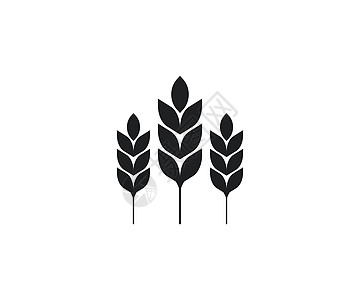 小麦作物农业图标 矢量插画平面设计面包麸质稻草营养纤维玉米耳朵收成谷物生长图片