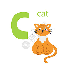 一只可爱的红猫的卡片 与动物的字母表 色彩缤纷的设计 用于教孩子们字母表学习英语 白色背景上平面卡通风格的矢量插图图片