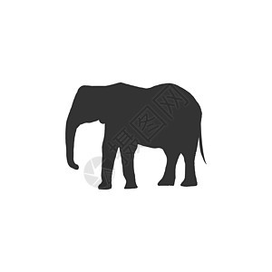 在白色背景隔绝的大象 矢量图动物剪影树干插图收藏荒野宠物涂鸦艺术动物群哺乳动物獠牙图片