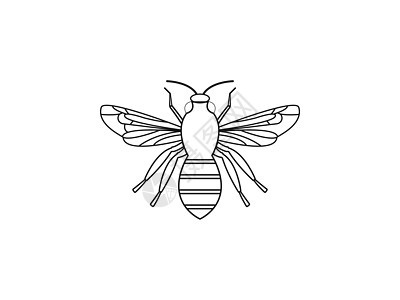 蜜蜂蜂蜜图标 矢量插画平面设计蚀刻艺术草图翅膀蜂窝艺术品野生动物收藏标识墨水图片