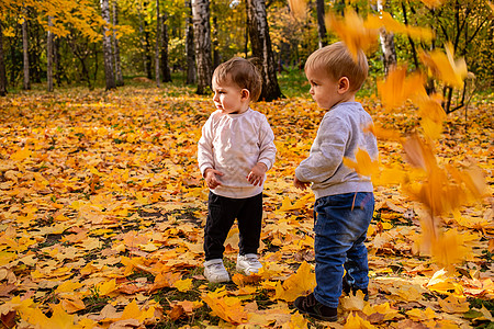 孩子们在秋天的市公园 捕捉到满是橄榄树叶的快乐孩子森林叶子喜悦婴儿享受生活季节男生家庭乐趣背景