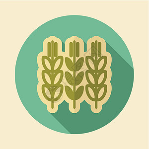 小麦 ico 的小穗和谷物插图农业面包植物食物种子生长大麦粮食农场图片