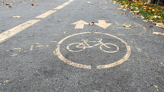 秋天在城市道路一侧的自行车道 秋季公园柏油路上两个迎面而来的箭头形式的道路标记 落叶在森林里 秋季概念自行车交通运动车道街道路线图片