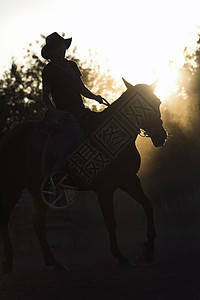 骑马的妇女的休眠日落或日出动物牧场马背太阳骑士骑师女性天空女孩场地图片