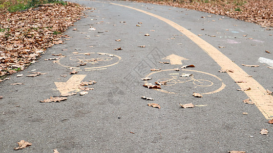 秋天在城市道路一侧的自行车道 秋季公园柏油路上两个迎面而来的箭头形式的道路标记 落叶在森林里 秋季概念车道街道橙子交通季节自行车图片