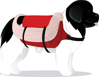 纽芬兰犬救生帮助绳索动物医药箱救命宠物稻草哺乳动物人员白色图片